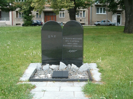 3955855.jpg